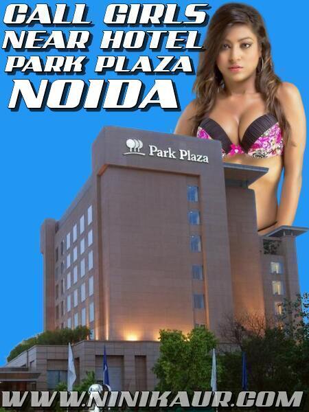 High Profile Call Girls Near Hoel Park Plaza Noida